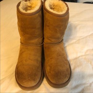 Chestnut Ugg Short